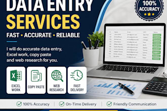 do data entry,copy paste,exel work fast and accurately