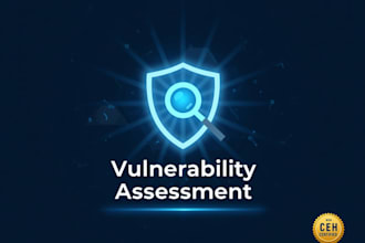 perform a full vulnerability assessment and security report