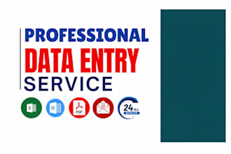 be your expert data entry operator for excel