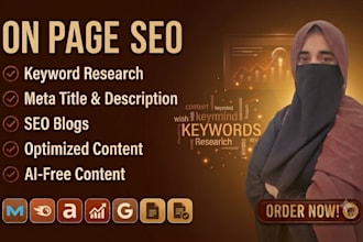 do on page SEO optimization and content writing