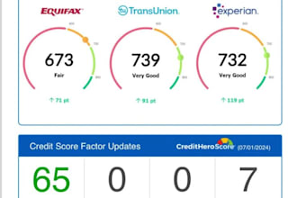 do inquiry removal, credit repair, credit report, crypto tax report for you