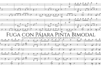 provide professional music transcription, engraving, and musicxml conversion