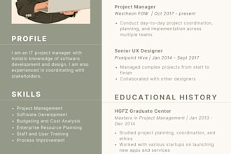 write a professional urdu or english CV and resume