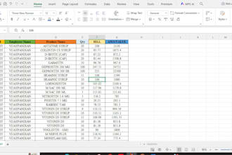 do professional data entry and excel data cleanup