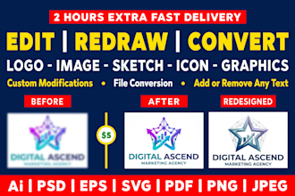 edit, redraw, convert any logo, image or sketch to vector