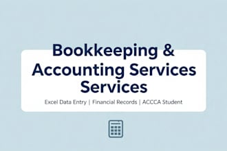 do bookkeeping and accounting data entry in excel
