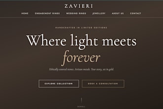 develop web frontend projects