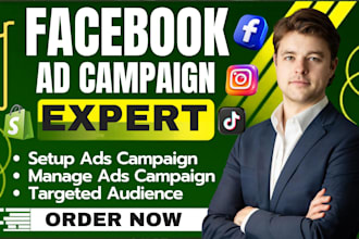 manage facebook ads campaign instagram ads shopify meta ads marketing tiktok ads