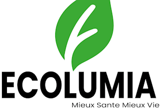design a professional minimalist logo for your brand
