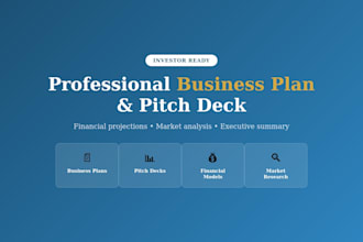 write a professional business plan or investor pitch deck