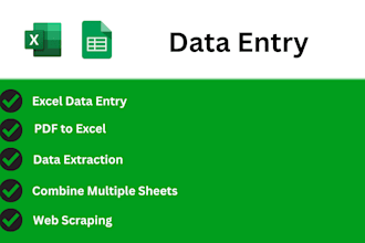 provide fast and accurate manual data entry and excel data collection