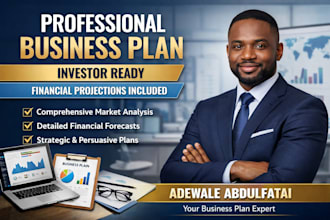 write a professional business plan, investor ready plan, and financial plan