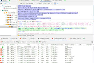 auditaré y protegeré su sitio web de wordpress