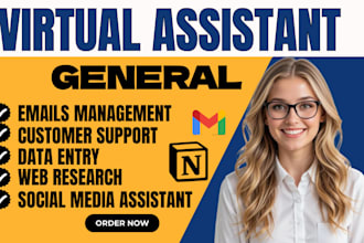 be your virtual assistant for email management, data entry, calendar scheduling