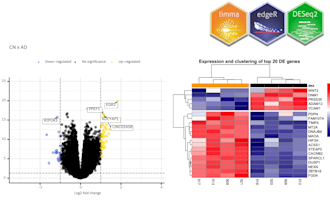 analyze and perform differential gene expression analysis