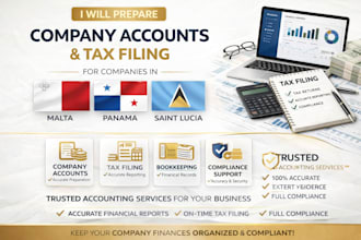 prepare company accounts and tax filing for malta panama saint lucia