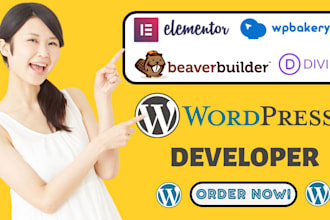 design, redesign or develop wordpress website as divi expert using divi theme