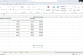 provide advanced econometric analysis and research writing