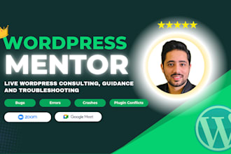 be your wordpress mentor for live consulting, guidance and wp troubleshooting
