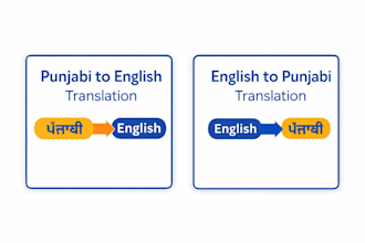 translate english to punjabi and punjabi to english professionally