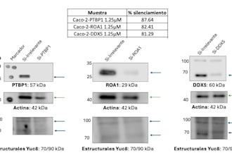 analyze biological and scientific data using python