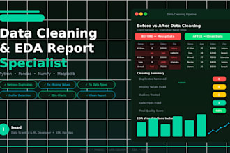 do professional data cleaning and eda with full insights report using python