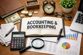 do expert bookkeeping clean up, ledger maintenance, in excel,tally