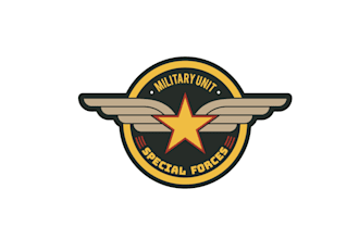 create wonderful and excellent military logo design