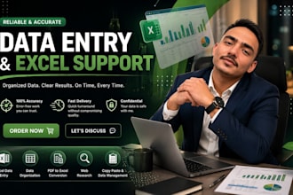 accurate data entry and excel support