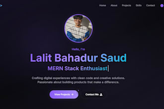 build a fully responsive and professional website