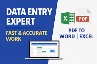 do fast data entry, typing and excel work