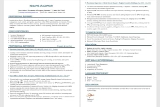 write your professional ats optimized CV or resume