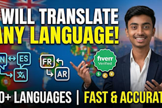 provide fast and accurate multilingual translation services