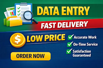 fast and accurate data entry work