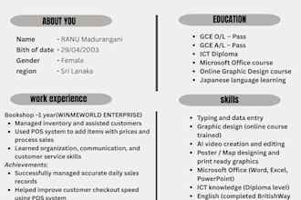 create a professional CV and resume for you
