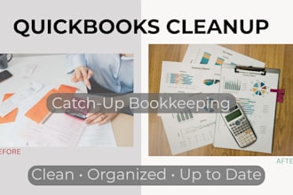 clean up and categorize your quickbooks online transactions