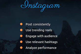 be your social media manager  instagram  content   growth   management
