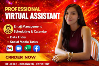 executive virtual assistant admin support instagram assistant data entry VA