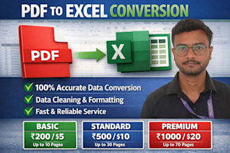 convert PDF,scan copy to excel accurately