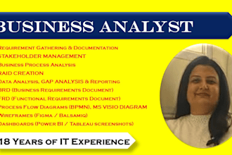 be your agile business analyst and product owner