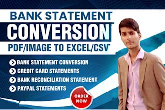 convert bank statements PDF to CSV, excel within few hours