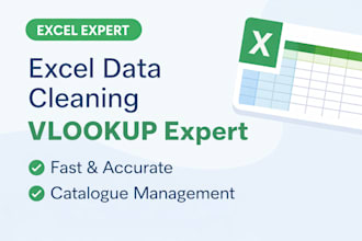 clean excel data, vlookup and catalogue