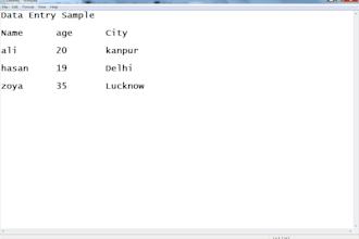 do data entry typing copy paste and canva logo design services