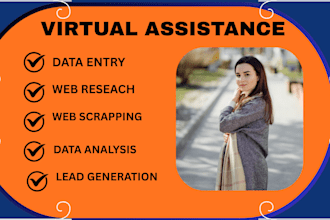 do virtual assistant for b2b leads data entry and web research