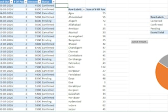 do professional excel work