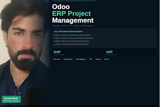 do odoo erp project management and full implementation