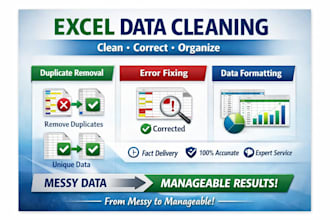 format and organize your excel ,CSV data