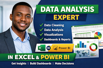 data analyst to analyse, organize, visualize report excel powerbi data