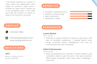 design a professional resume or CV