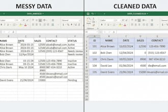 clean and organize excel or CSV files with python